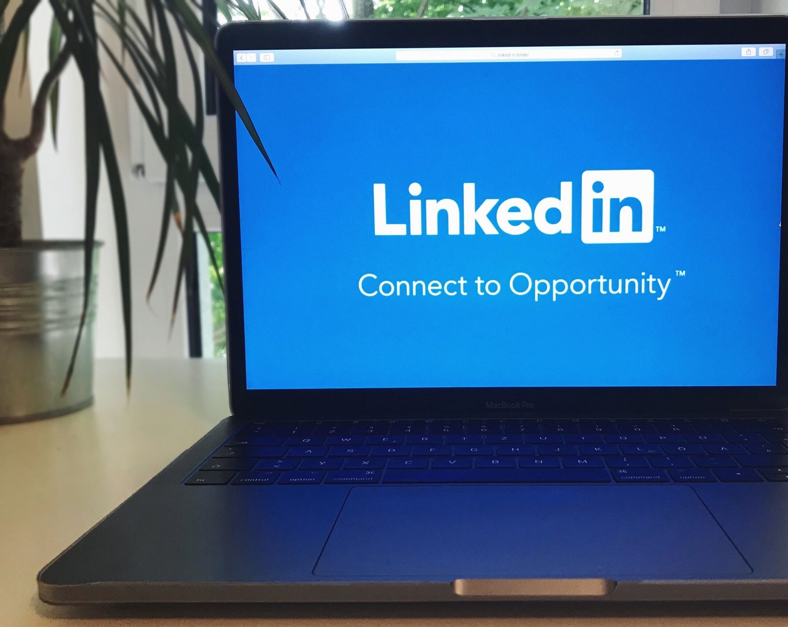 LinkedIn پروفائل کیسے بنائیں؟ نوکری اور فری لانس کام کے لیے مکمل رہنمائی
